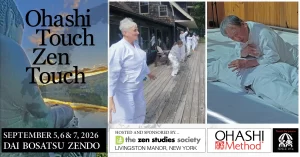 OHASHI TOUCH ZEN TOUCH 2026 - HORZ DIGITAL PROMO BANNERS FINAL Ohashi Touch, Zen Touch 2026