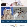 Ohashi’s Practical Course. The OHASHI Method® Bodywork Technique.