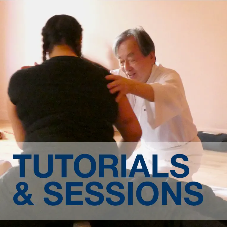 CAT-TUTSESS-HERO Tutorial & Session Combination with Ohashi at Zendo. Thursday, September 3rd, 2026. LIMITED TO FOUR STUDENTS. START TIME 10:00 AM Eastern Standard Time